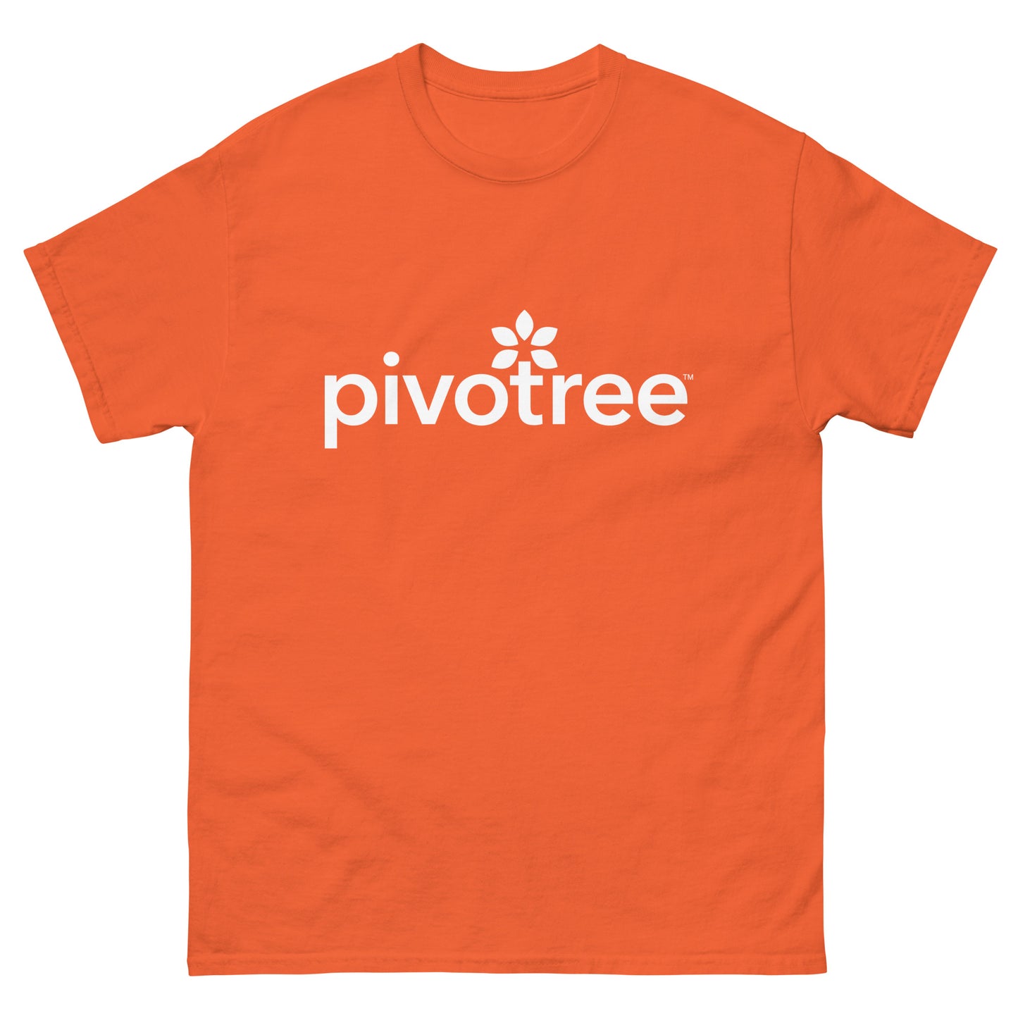 Classic tee in multiple colours