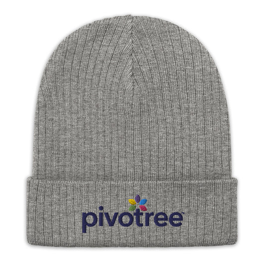 Ribbed knit beanie